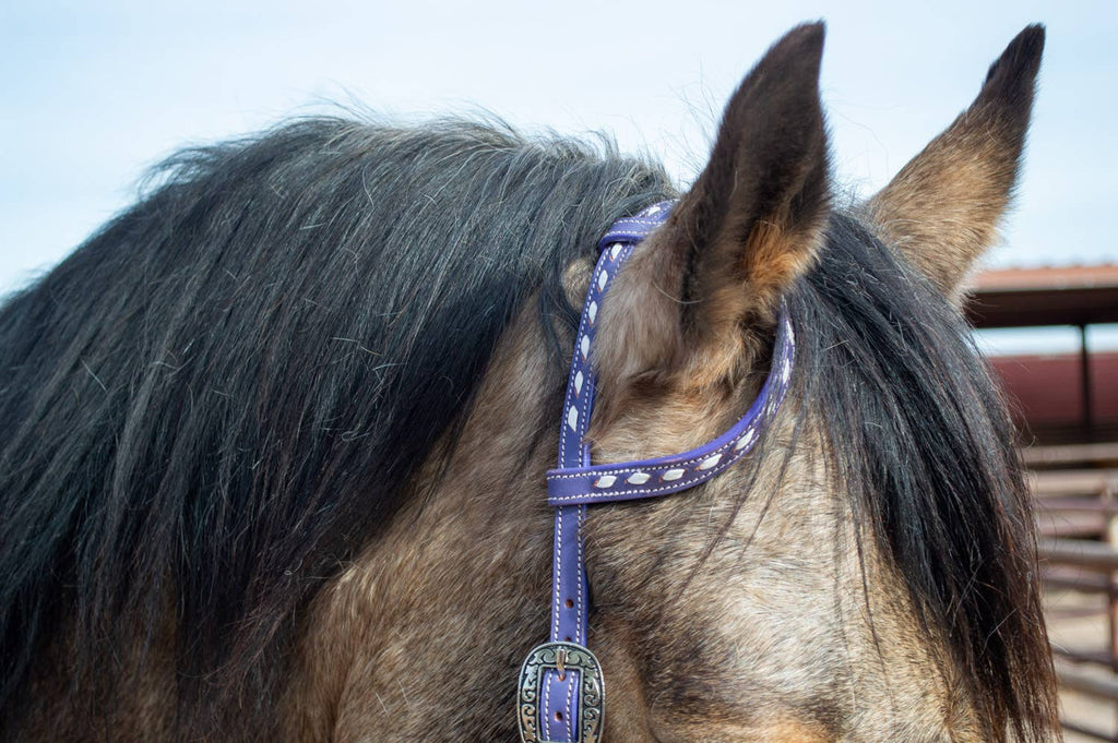 Buckstitchin’ Beauty Purple Tack Set