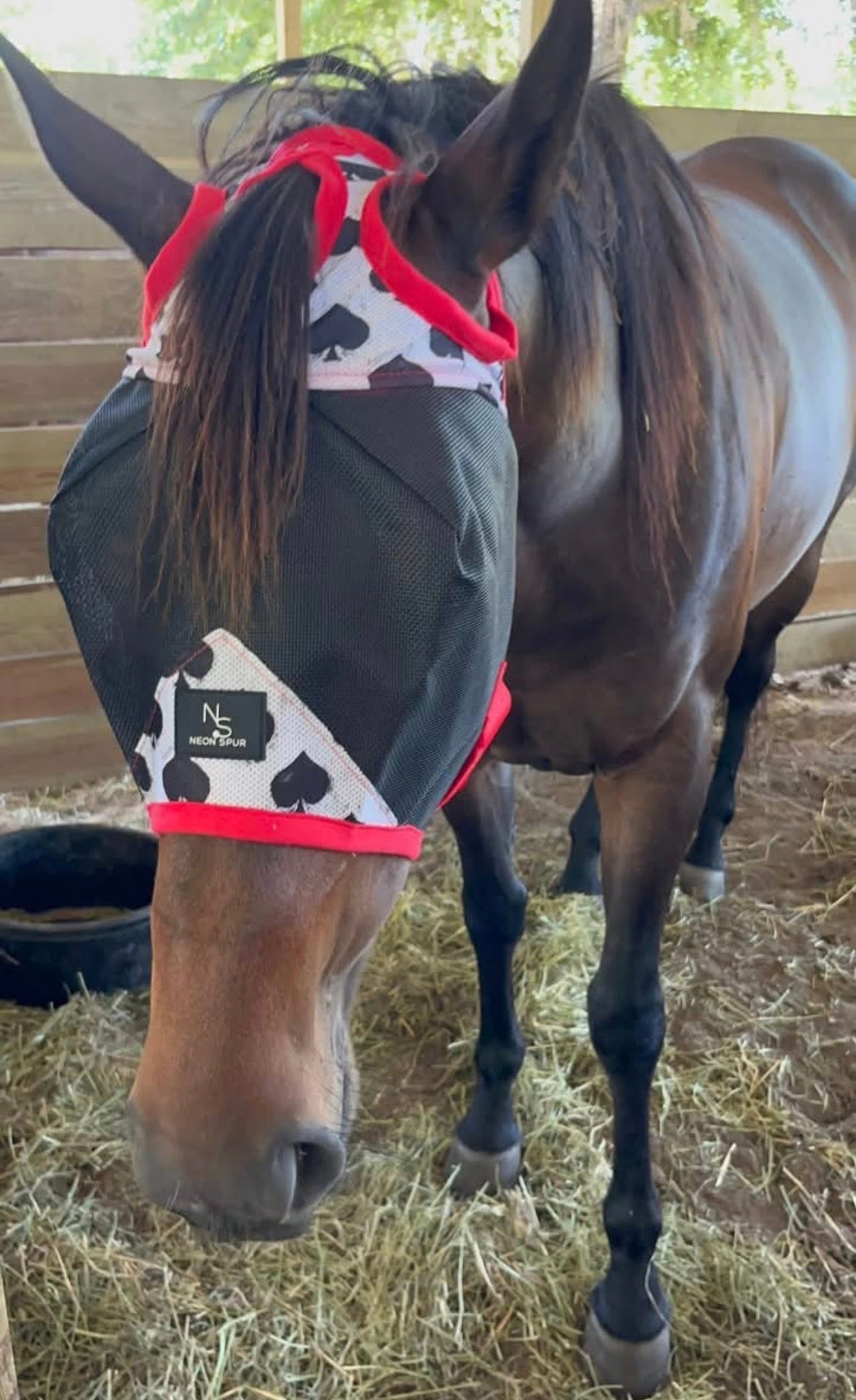 Smokin Spades Fly Mask - Black/Red