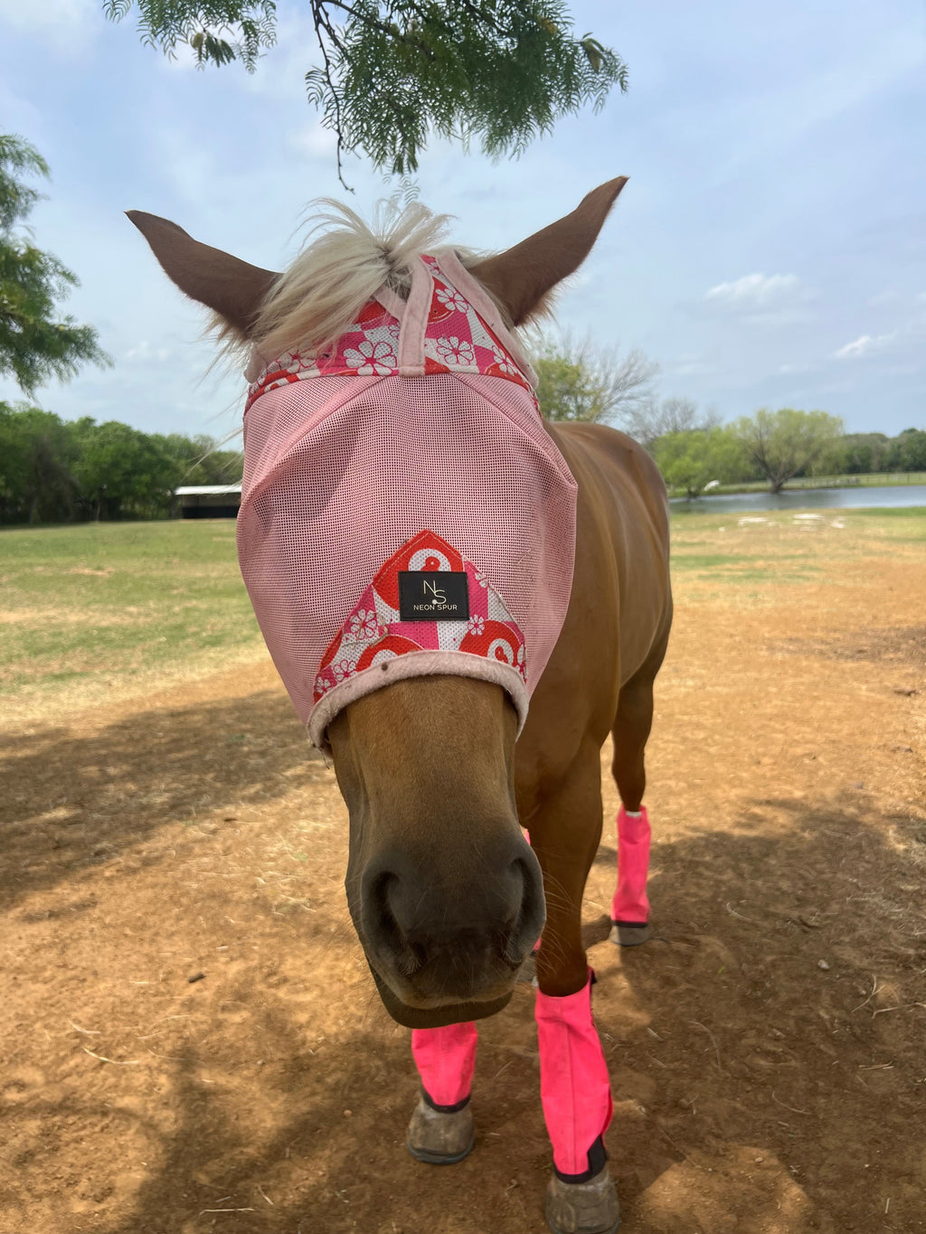 Daisy 8 Horse Fly Mask -Pink Mesh