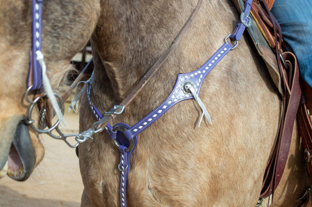 Buckstitchin’ Beauty Purple Tack Set